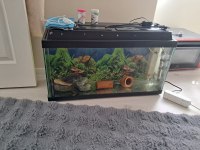90 litre akvaryum