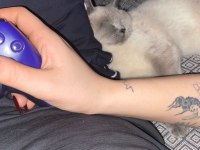 Ücretsiz sahiplendirme dişi kedimiz