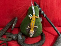 Leopard gecko