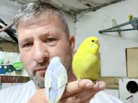 Konuşturmalık bebek muhabbet kuşlar
