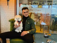 Uygun fiyata GÜZEL POMERANİAN KIZIMI sahiplendireceğim