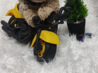 Veteriner kontrolünden garantili maltipoo bebekler