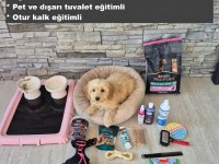 Moltipoo Ekipmanlarıyla Birlikte