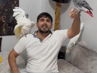 Kakadu isteyen varsa buyursun kapımız açıktır