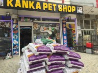 Akvaryum ile ilgili herşey burada