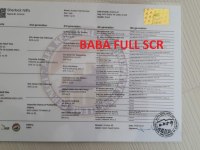 2 AYLIK DİŞİ SAFKAN GOLDEN YAVRU ŞECERELİ KEDİMİZ