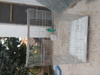 Papağan Kafesleri
