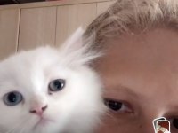 Tatlı kedimiz