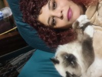 Kısırlaştırılmamış biri dişi ve biri erkek 8 aylık ragdoll