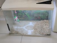 HAMSTER ÜRETİM CAM ALAN