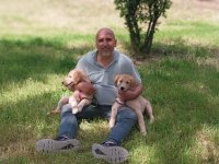 4 Aylık 2 Golden Retriever Var Sahiplendireceğim