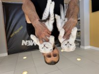 Top kafa Scottish fold yavrular Ankara mağazamızda 