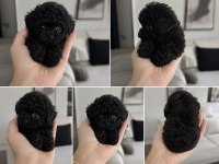 Simsiyah Lekesiz Toy Poodle Bebekler