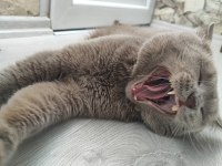 2 YAŞINDA OYUNCU