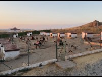 Türkiyenin meşhur kangal çiftliği