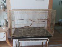 ÇEŞİTLİ KAFESLER TAKAS OLUR