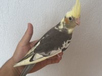 Bebek sultan yeme düştü çok güzel takım olarak