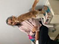 Çok sevdiğimiz kedimizi sahiplendirmek istiyoruz