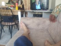 Su kaplumbağası