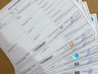 Kaliteli DİŞİ CANE YAVRULAR KLF FCI A ŞECERE MİCRO CHİPLİ