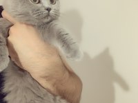 Evden Safkan Eşsiz Yavrularım
