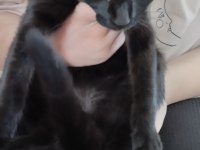 Acil yuva ömürlük bombay