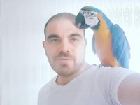 Evin yeni macaw genel müdürü