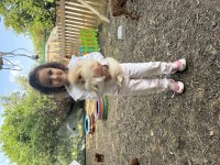 Anne altından pomeranian boo