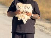 İnstagram Cagri.cemcem