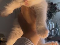 Kedilerimize yeni güzel yuvalar arıyoruz ☺️