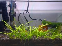 Ultra Clear akvaryum tüm set açıklamayı oku