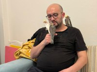 Yavru Sultan Papağanı Elle Besleme Ve Özel Bakım