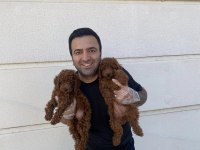 WC EĞİTİMLİ ORJİNAL IRK YAVRULAR ANKARA MAĞAZAMIZDA 