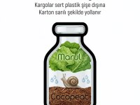 DEV AFRİKA SALYANGOZU (Kargo İmkanı)