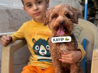 Ankara Batıkent Kayıp Aranıyor