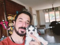 YAKIŞIKLI HUSKY SİBİRYA KURDU YAVRULARIMIZ