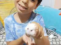 Hamster Kendi Ürettiğimiz