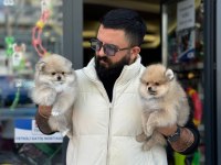 Ankaranın Tek Pet Danışmanlığı