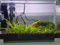 Ultra Clear akvaryum tüm set açıklamayı oku