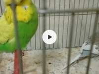 Bilgi detay için yazmanız yeterli