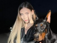 Gerçek Doberman Yavruları