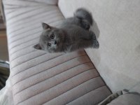 27 haziran doğumlular wc egitimi ve kuru mamaya basladilr