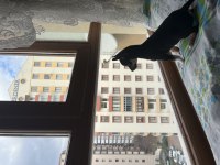 Acil sahiplendirilecek erkek pinscher