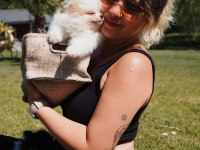 Tea Cup ORJİNAL Toy Poodle Yavrularımız