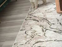 3.5 aylık ayı surat pomeranian boo