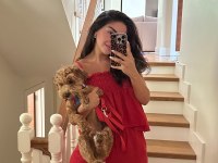 6 aylık toy poodle