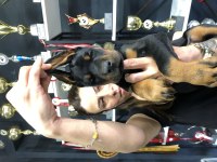 Dünyaca ünlü doberman torunu