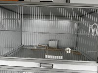 5 KOMPOZİT KAFES + 2 ERKEK 1 DİŞİ MUHABBET KUŞU