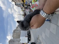 CÜCE BEBEKLER İÇİN ARAYINIZ