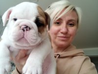 KAR TOPU İNGİLİZ BULLDOG YAVRULARIMIZ